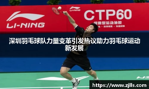 V体育