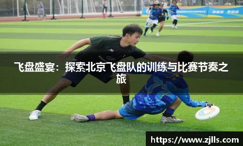 V体育