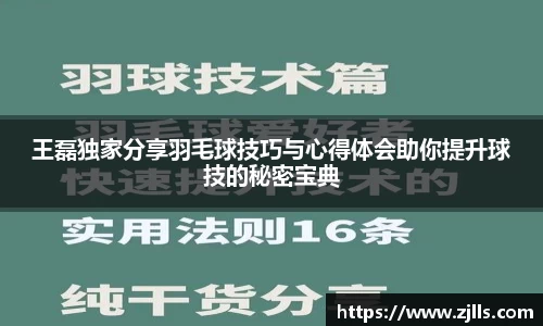 V体育