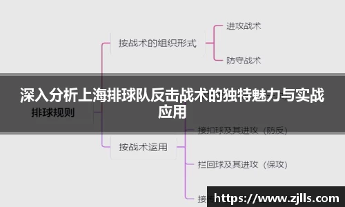 VSport-胜利因您更精彩